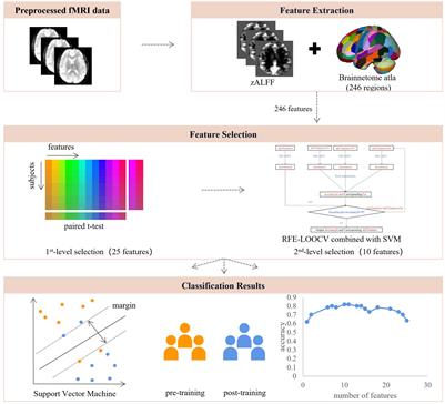 Real-World Visual Experience Alters Baseline Brain Activity in the Resting State: A Longitudinal Study Using Expertise Model of Radiologists